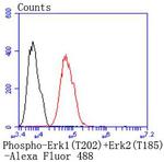 Phospho-ERK1/ERK2 (Thr202,Thr185) Antibody in Flow Cytometry (Flow)
