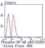 Phospho-NFkB p65 (Ser529) Antibody in Flow Cytometry (Flow)