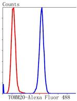 TOMM20 Recombinant Rabbit Monoclonal Antibody (ST04-72)