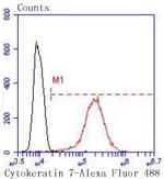 Cytokeratin 7 Antibody in Flow Cytometry (Flow)