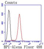 BPI Antibody in Flow Cytometry (Flow)