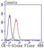 Cytokeratin 4 Antibody in Flow Cytometry (Flow)