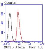 CA125 Antibody in Flow Cytometry (Flow)