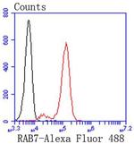 RAB7A Antibody in Flow Cytometry (Flow)