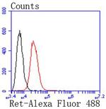 RET Antibody in Flow Cytometry (Flow)