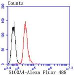S100A4 Antibody in Flow Cytometry (Flow)