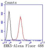ERK5 Antibody in Flow Cytometry (Flow)