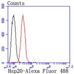 HSP20 Antibody in Flow Cytometry (Flow)