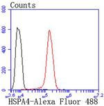 HSPA4 Antibody in Flow Cytometry (Flow)