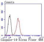Caspase 14 Antibody in Flow Cytometry (Flow)
