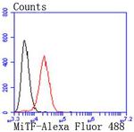 MiTF Antibody in Flow Cytometry (Flow)