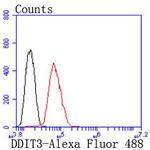 CHOP Antibody in Flow Cytometry (Flow)