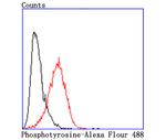 Phosphotyrosine Antibody in Flow Cytometry (Flow)