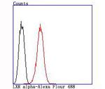 LXR alpha Antibody in Flow Cytometry (Flow)