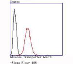 GLUT3 Antibody in Flow Cytometry (Flow)