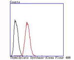 Thymidylate Synthase Antibody in Flow Cytometry (Flow)
