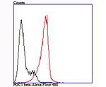 PPARGC1B Antibody in Flow Cytometry (Flow)