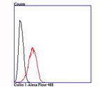 Cullin 1 Antibody in Flow Cytometry (Flow)