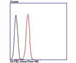 SATB2 Antibody in Flow Cytometry (Flow)