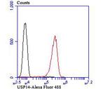 USP14 Antibody in Flow Cytometry (Flow)