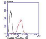 MAD2L2 Antibody in Flow Cytometry (Flow)