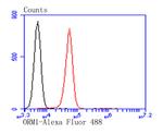 ORM1 Antibody in Flow Cytometry (Flow)