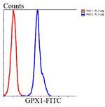 GPX1 Antibody in Flow Cytometry (Flow)