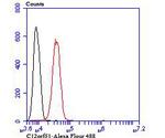 HECTD4 Antibody in Flow Cytometry (Flow)