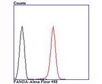 FAM3A Antibody in Flow Cytometry (Flow)