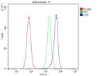 FHIT Antibody in Flow Cytometry (Flow)