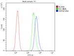 HSPA2 Antibody in Flow Cytometry (Flow)