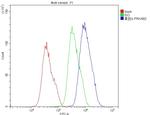 AMPK beta-2 Antibody in Flow Cytometry (Flow)
