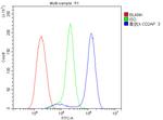 CD2AP Antibody in Flow Cytometry (Flow)