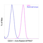 CD31 Antibody in Flow Cytometry (Flow)