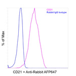 CD21 Recombinant Rabbit Monoclonal Antibody (RM372)