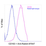 CD163 Antibody in Flow Cytometry (Flow)