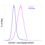 CD163 Antibody in Flow Cytometry (Flow)