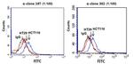 Syndecan 2 Antibody in Flow Cytometry (FLOW)