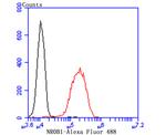 NR0B1 Antibody in Flow Cytometry (Flow)