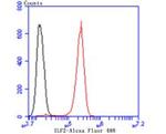 ILF2 Antibody in Flow Cytometry (Flow)