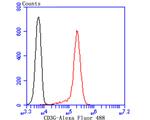 CD3 Antibody in Flow Cytometry (Flow)