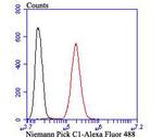 NPC1 Antibody in Flow Cytometry (Flow)