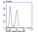 STIP1 Antibody in Flow Cytometry (Flow)