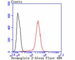 Desmoglein 2 Antibody in Flow Cytometry (Flow)