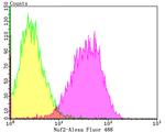 NUF2 Antibody in Flow Cytometry (Flow)