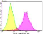 CHD1L Antibody in Flow Cytometry (Flow)