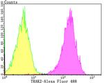 IRAK2 Antibody in Flow Cytometry (Flow)