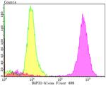 BAP31 Antibody in Flow Cytometry (Flow)