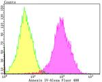 Annexin A4 Antibody in Flow Cytometry (Flow)