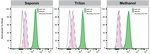 Mgea5 Antibody